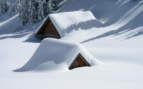 白茫茫雪景图片高清桌面壁纸第0张