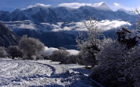 雪景图片 _ 第(3)张