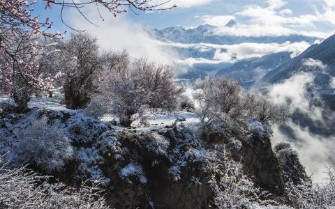 雪景图片 _ 第(4)张