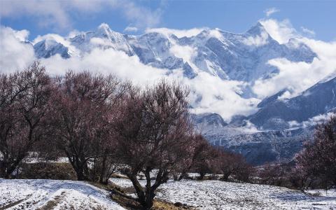 雪景图片 _ 第(5)张