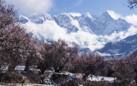 雪景图片 _ 第(9)张