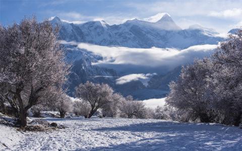 雪景图片 _ 第(10)张