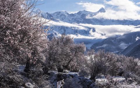 雪景图片 _ 第(11)张