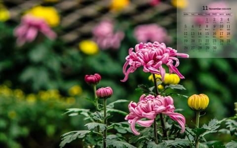 图片 _ 第(1)张