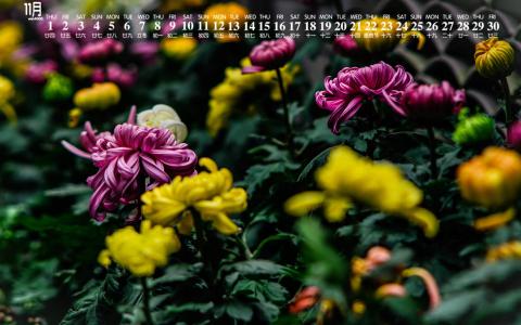 图片 _ 第(3)张
