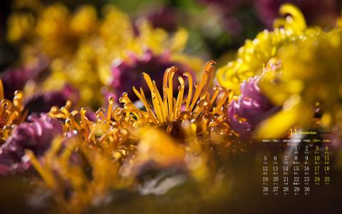 图片 _ 第(3)张