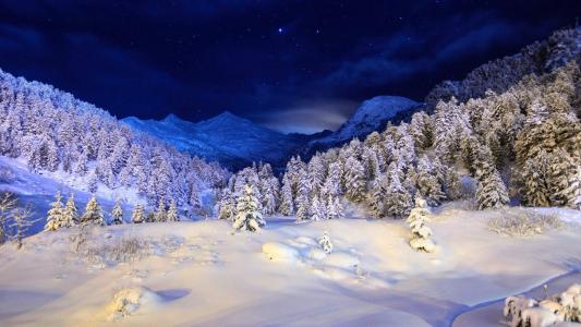 冬日雪景图片 _ 第(3)张