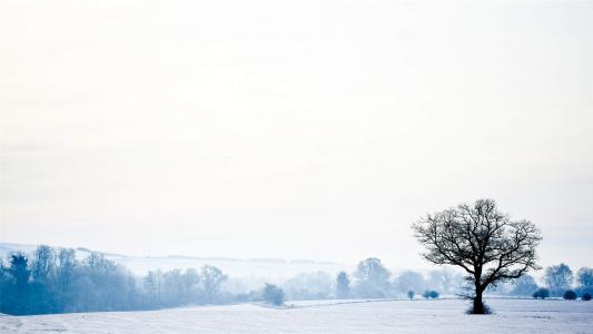 冬日雪景图片 _ 第(6)张