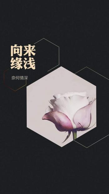 手绘创意家居设计简约清新安卓手机壁纸第2张