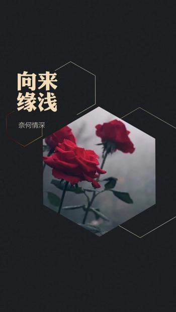 手绘创意家居设计简约清新安卓手机壁纸第3张