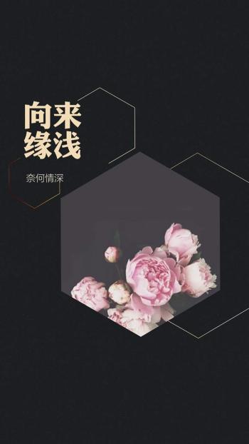 手绘创意家居设计简约清新安卓手机壁纸第5张