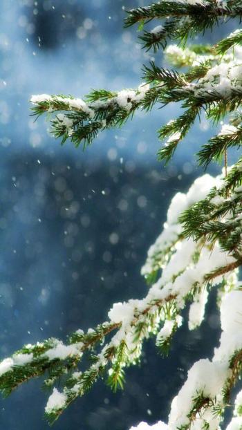 雪景图片 _ 第(1)张