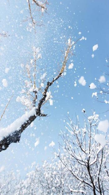 雪景图片 _ 第(2)张