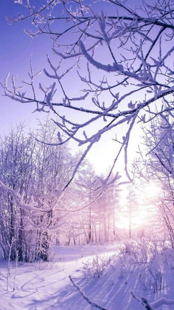 清新淡雅雪景图片手机壁纸第1张