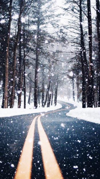 清新淡雅雪景图片手机壁纸第5张