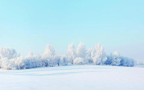 雪景图片 _ 第(1)张
