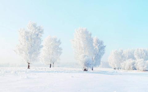 雪景图片 _ 第(2)张