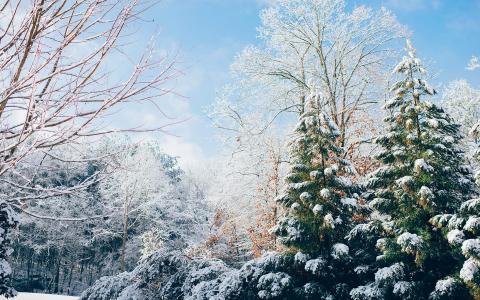 雪景图片 _ 第(9)张