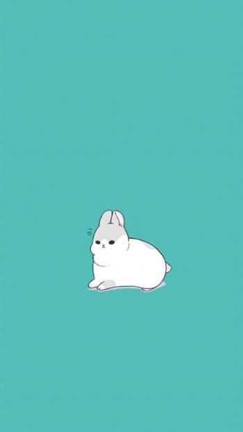 图片 _ 第(2)张