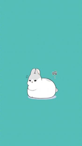 图片 _ 第(3)张