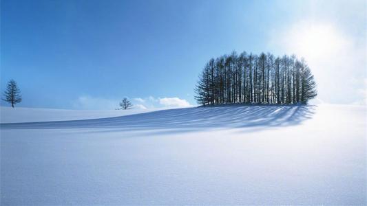 雪景图片 _ 第(1)张