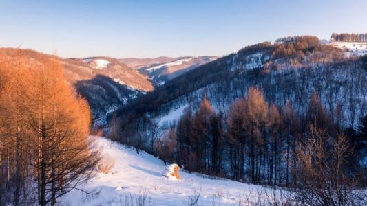 雪景图片 _ 第(6)张
