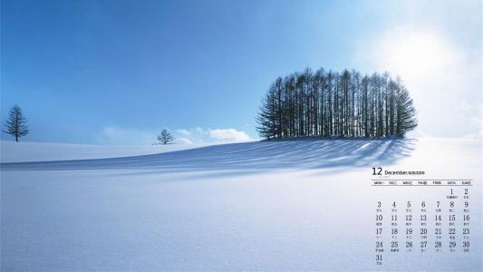 雪景图片 _ 第(1)张