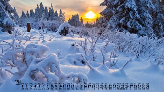 雪景图片 _ 第(3)张