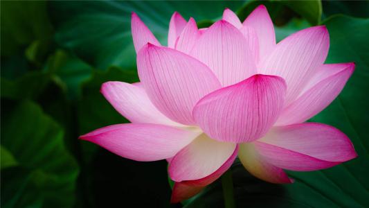 图片 _ 第(5)张