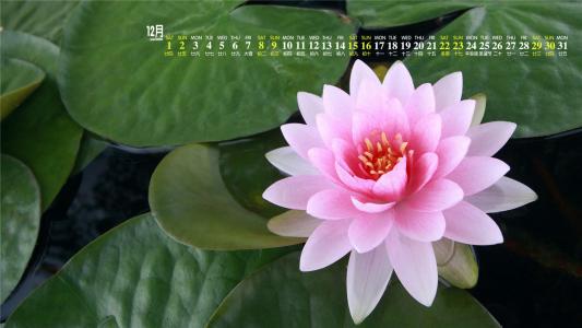 图片 _ 第(4)张