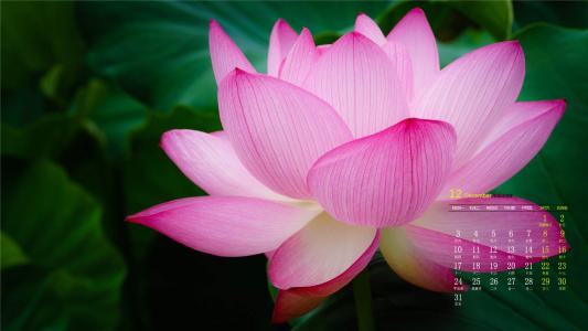 图片 _ 第(5)张