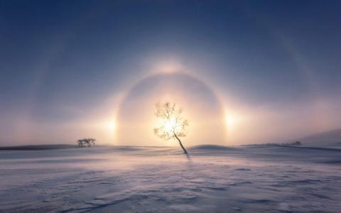 冬日雪景图片 _ 第(2)张