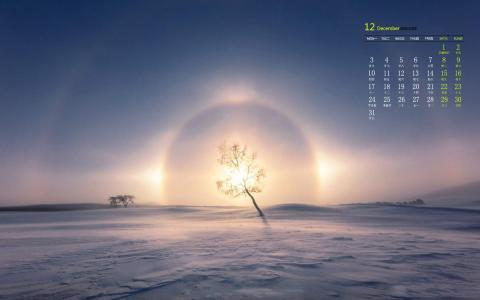 冬日雪景图片 _ 第(2)张