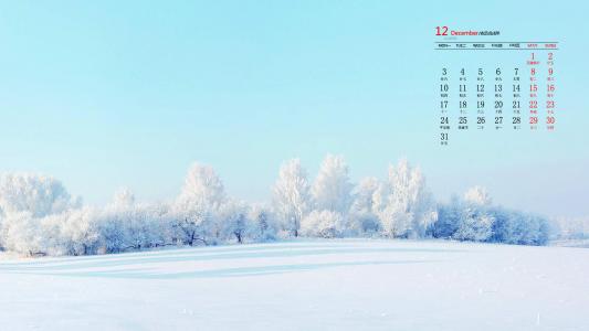 雪景图片 _ 第(3)张