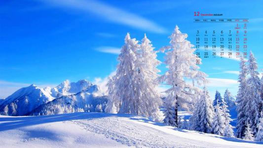雪景图片 _ 第(6)张