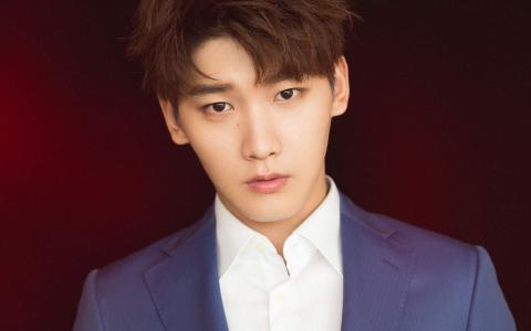 美女明星李晟桌面超清壁纸第4张