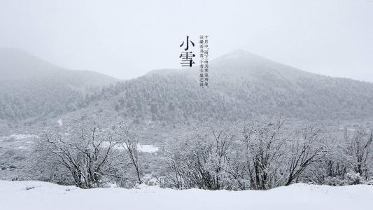 紫色薰衣草唯美风景图片桌面壁纸第5张