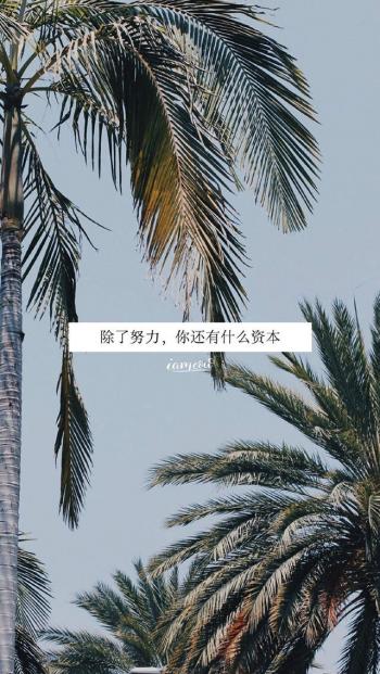 第1张
