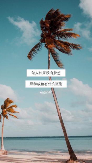 第2张