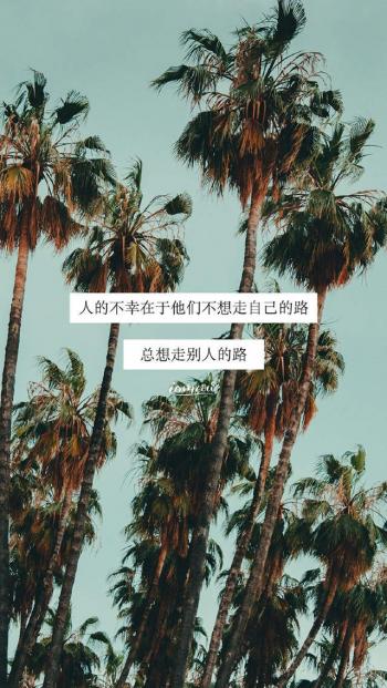 第3张