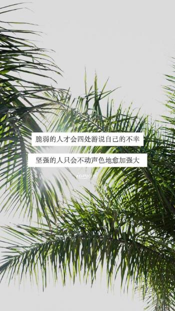 唯美海边风景图片手机壁纸第4张