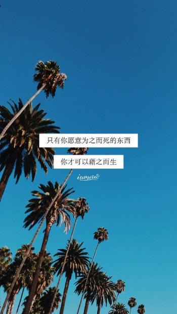 唯美海边风景图片手机壁纸第6张