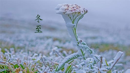 雪景图片 _ 第(2)张