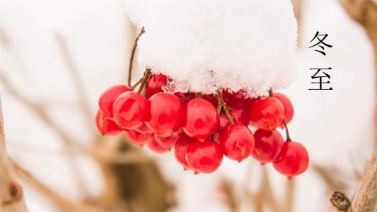 雪景图片 _ 第(4)张