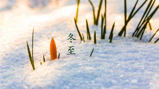 雪景图片 _ 第(5)张