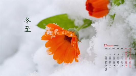 雪景图片 _ 第(3)张