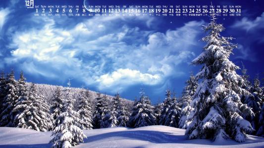 冬日雪景图片 _ 第(5)张