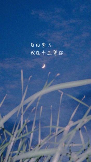 清新文字控文艺风手机壁纸第4张