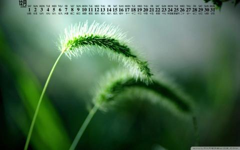 图片 _ 第(6)张