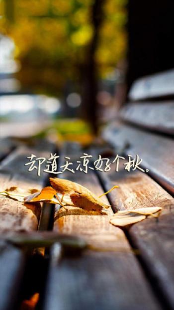 创意黑白文字控高清手机壁纸第6张